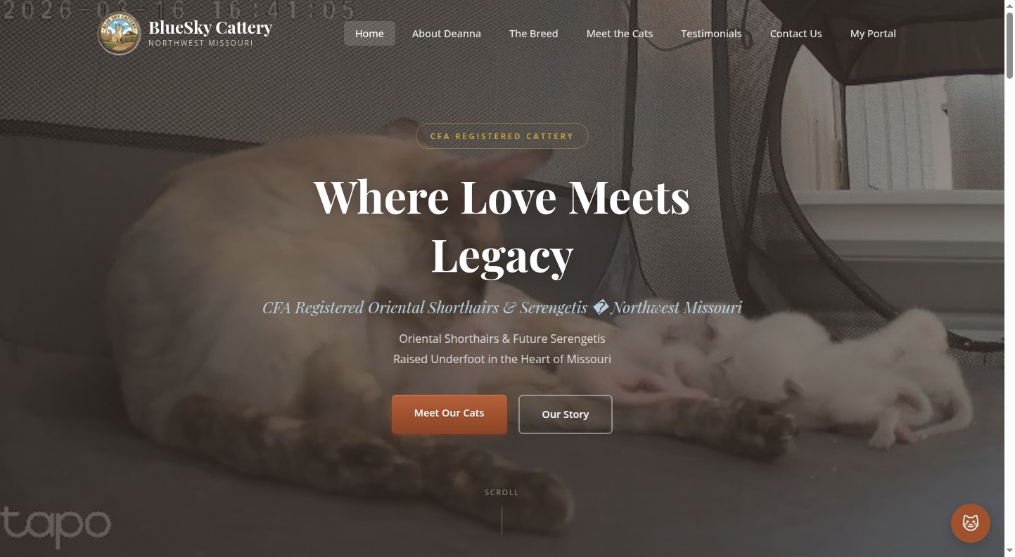 BlueSky Cattery homepage